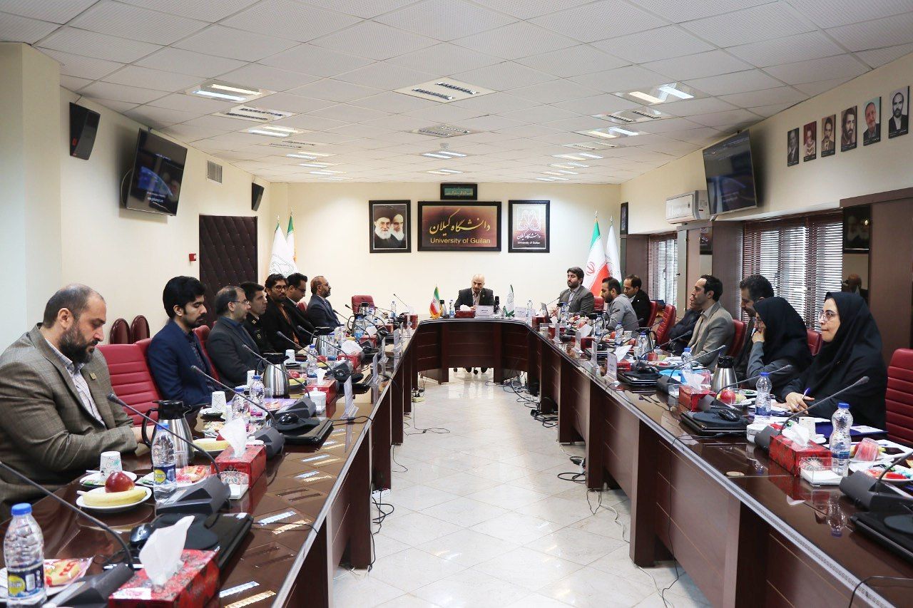 Набросок
