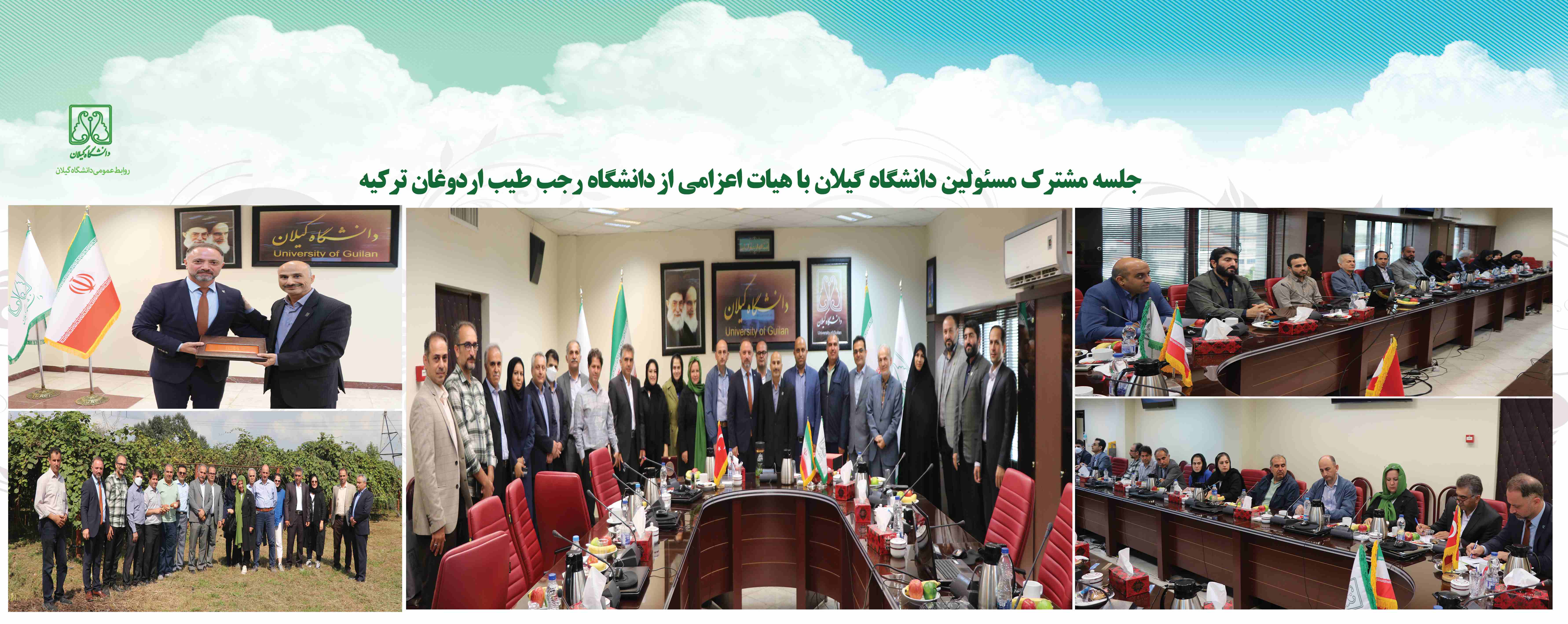 Набросок